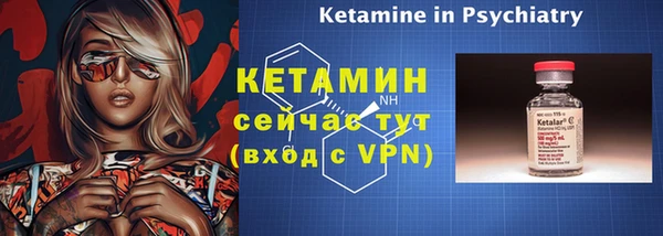 шишки Няндома