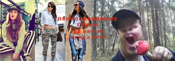 альфа пвп Осташков