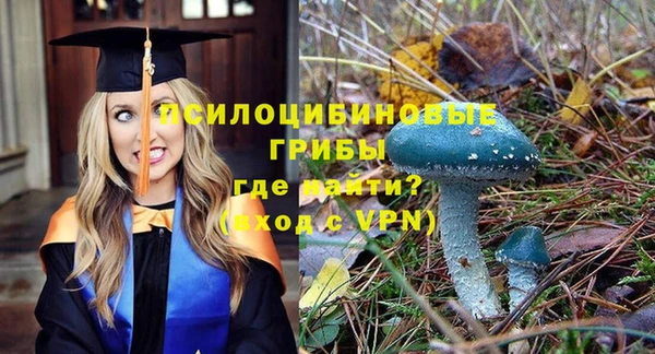 альфа пвп Нягань
