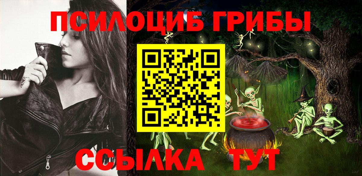 Галлюциногенные грибы GOLDEN TEACHER Ессентуки
