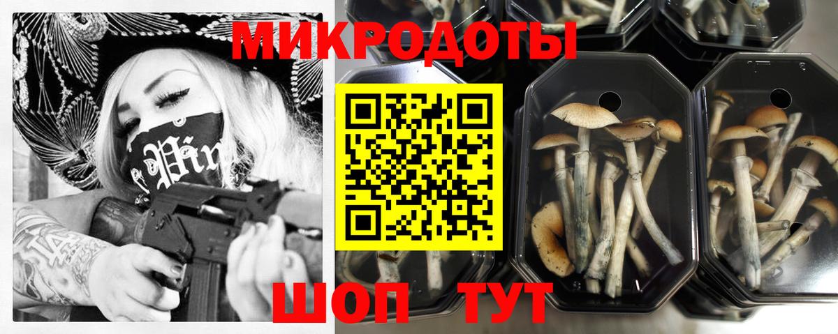 Галлюциногенные грибы мицелий  Ессентуки 