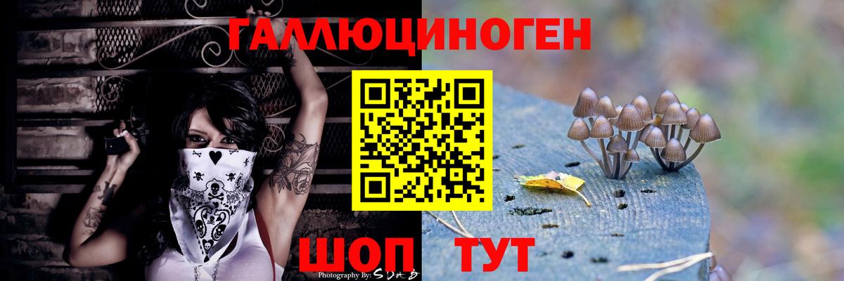 Псилоцибиновые грибы прущие грибы Ессентуки