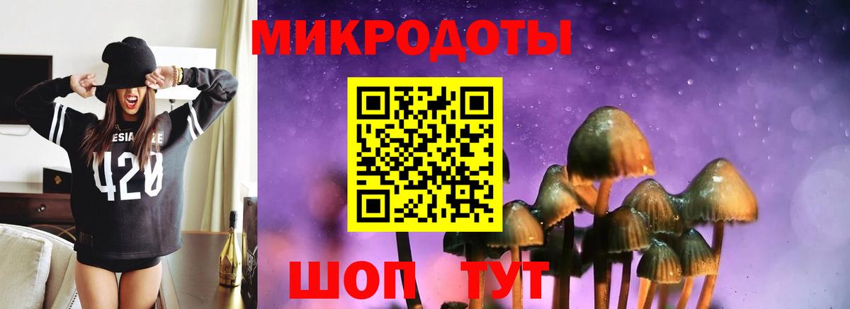 Псилоцибиновые грибы Magic Shrooms  Галлюциногенные грибы мицелий  Ессентуки  Вход с VPN 